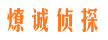 郎溪市调查公司